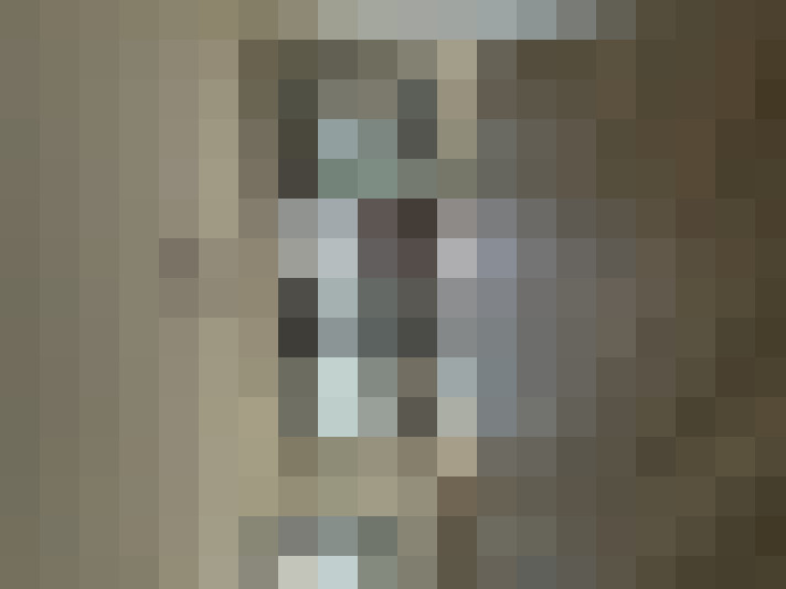  / #15