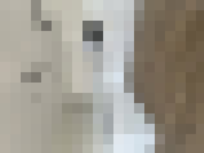  / #13