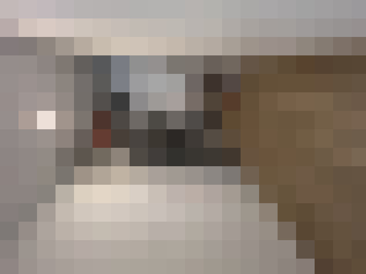 / #16