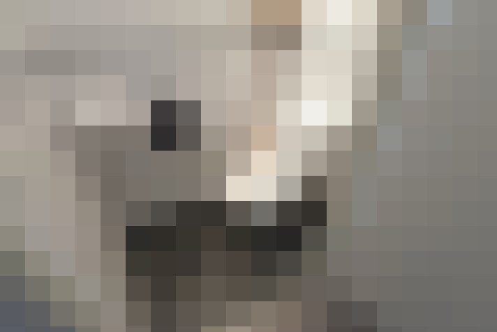  / #17