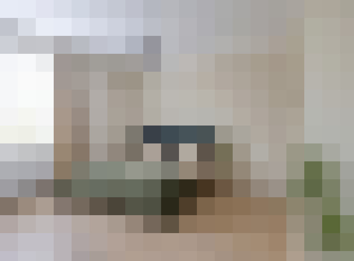  / #11