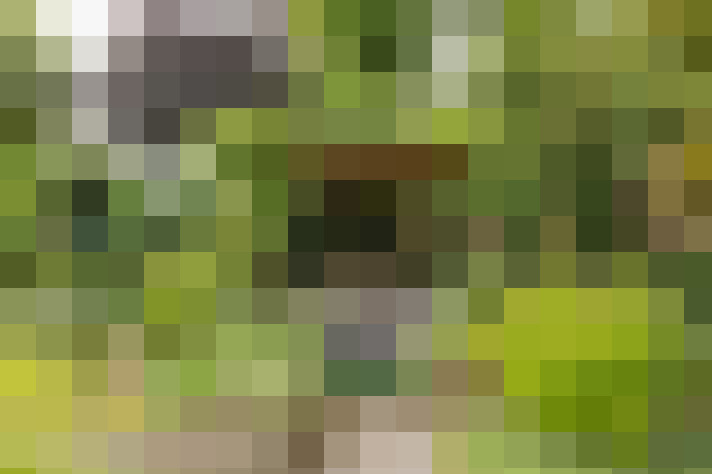  / #19