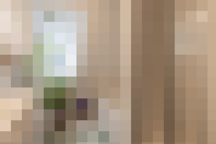  / #24