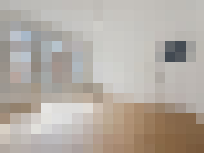  / #14