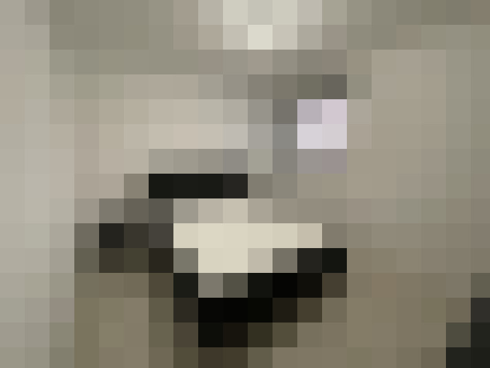  / #9