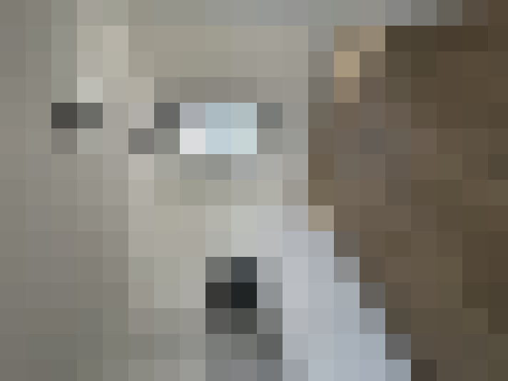  / #12