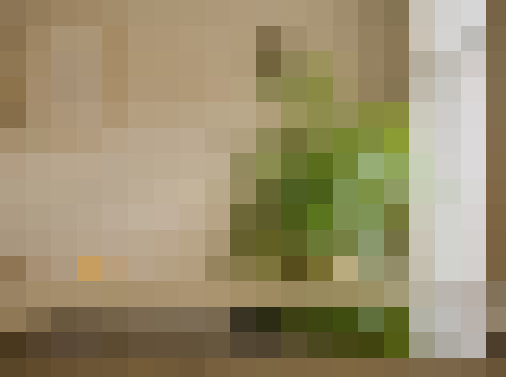  / #20