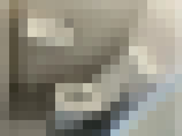  / #8