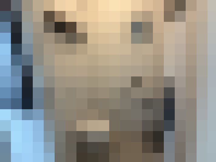  / #8