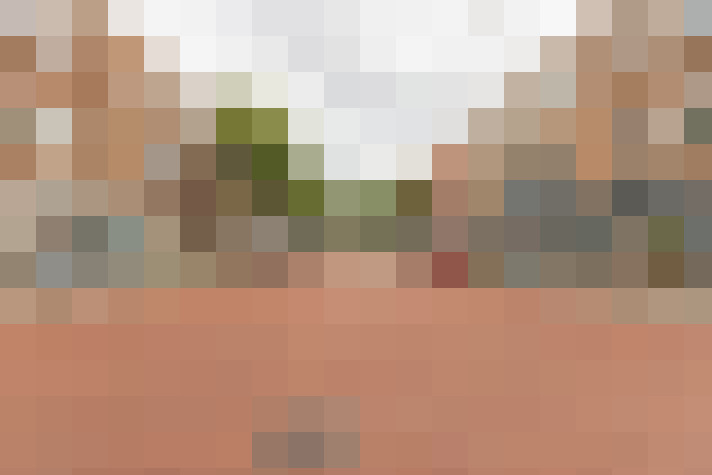  / #31