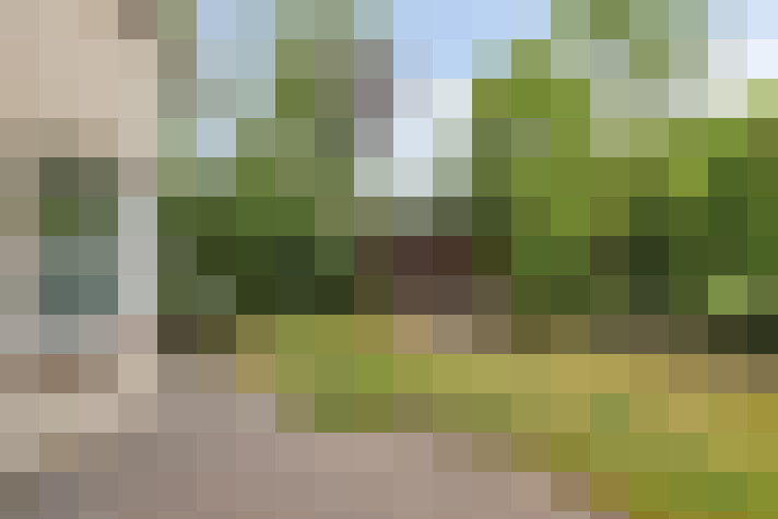  / #18