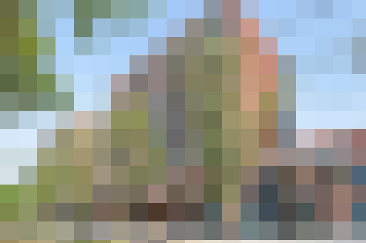  / #19