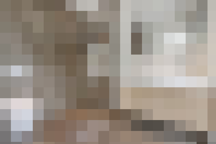 / #24