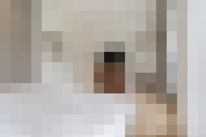  / #21