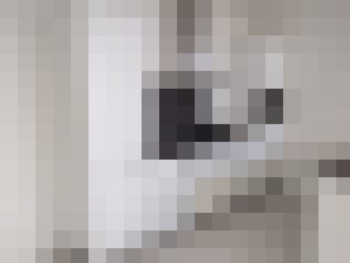  / #7