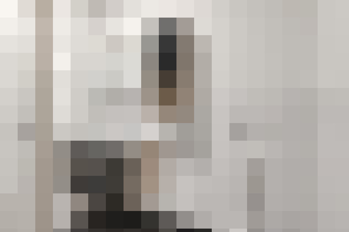  / #15
