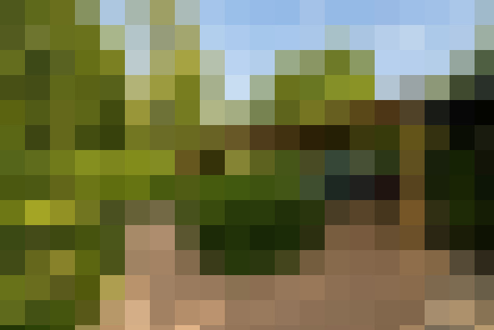  / #15