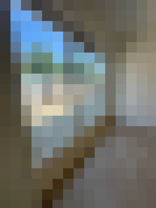  / #21