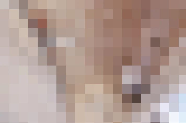  / #21