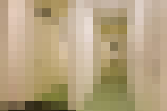  / #16
