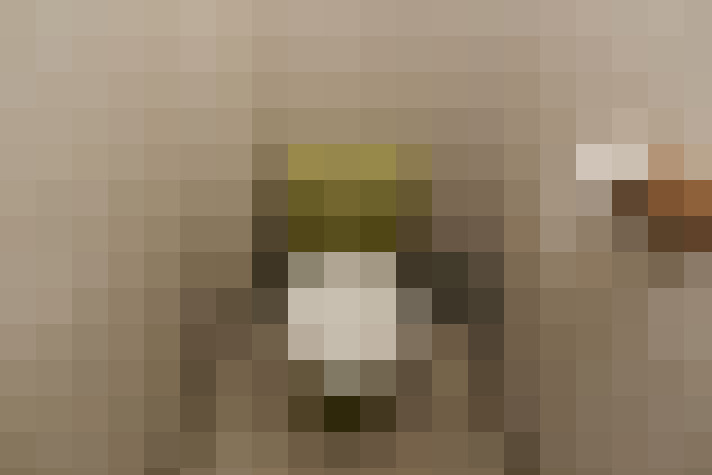  / #8