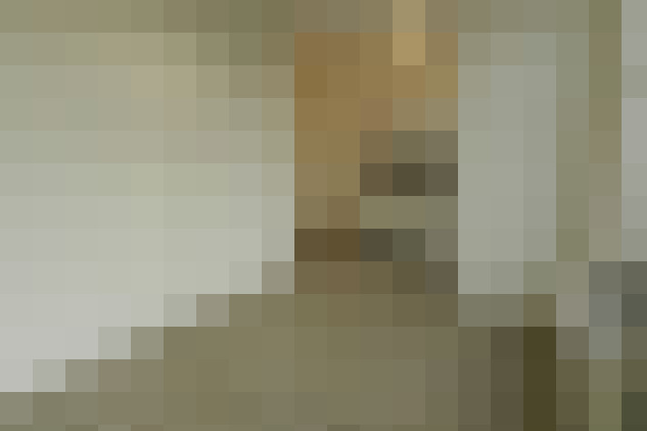  / #6