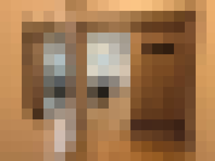  / #14