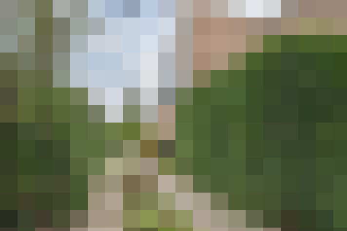  / #19