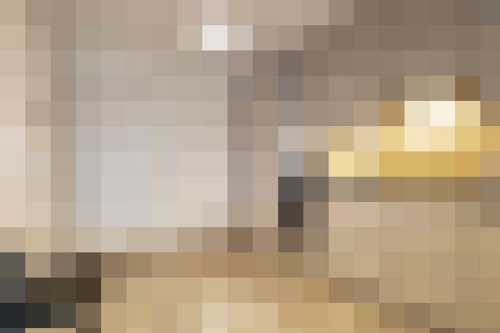  / #8