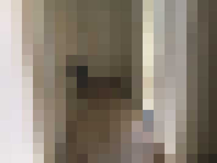  / #8