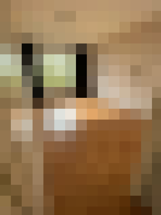  / #17
