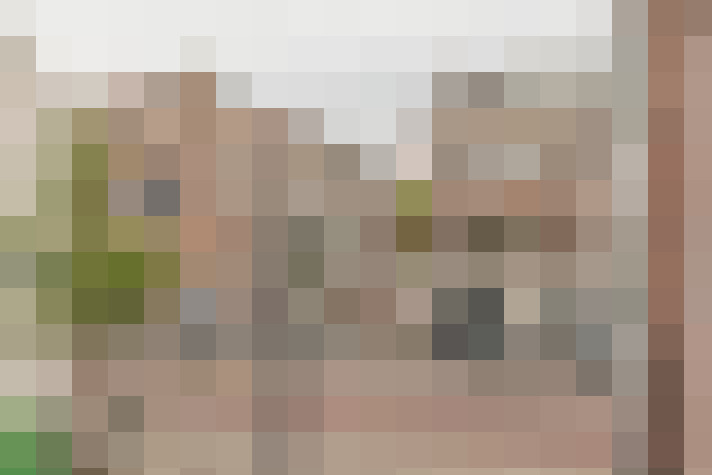  / #18