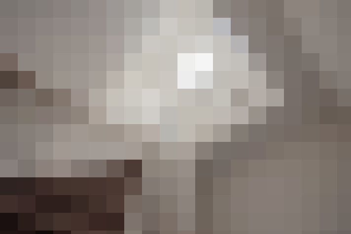  / #28