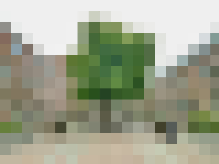  / #27