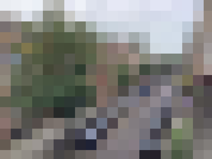  / #15