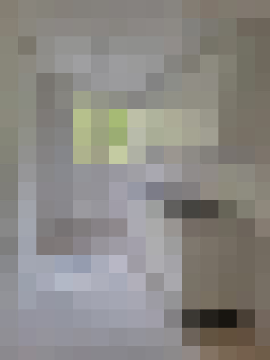  / #15