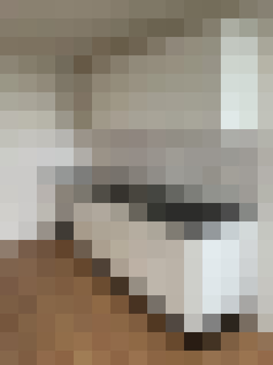  / #22