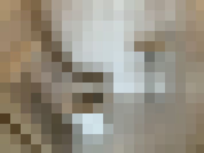  / #21