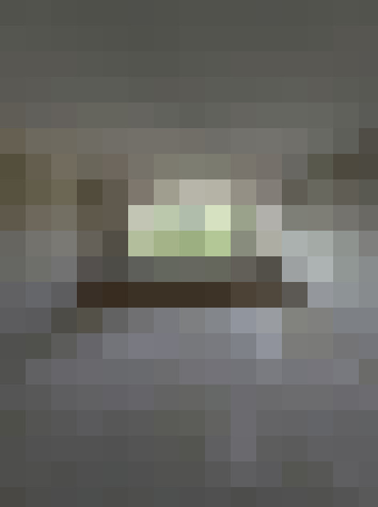  / #15