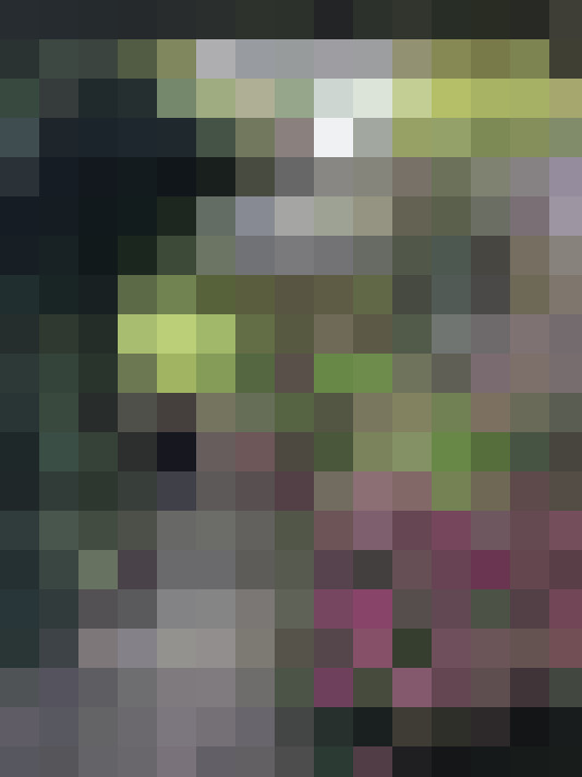  / #14