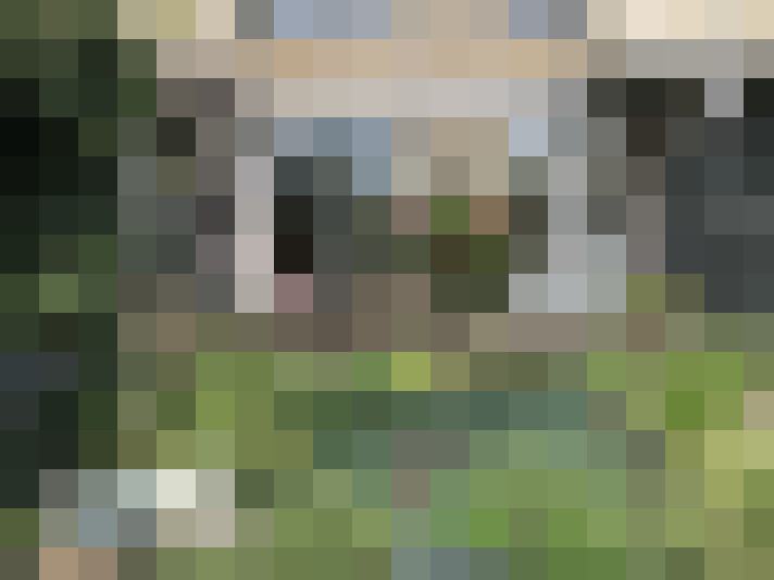  / #18