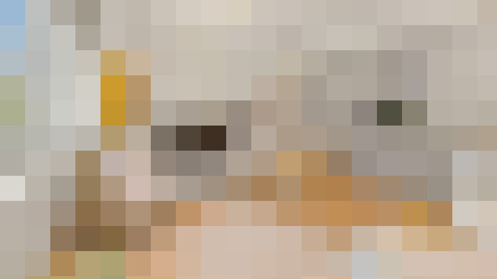  / #14