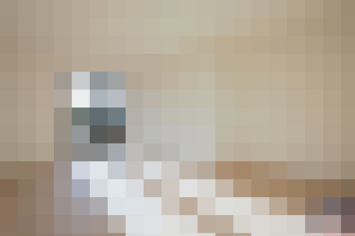 / #49