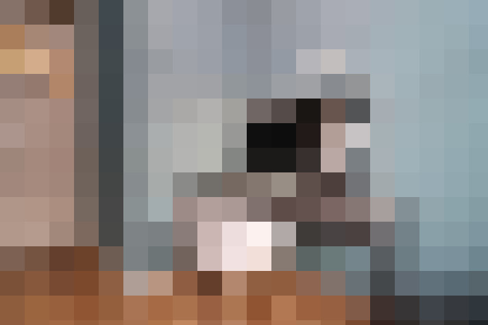  / #21