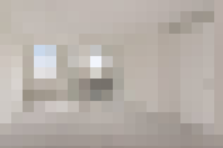  / #19