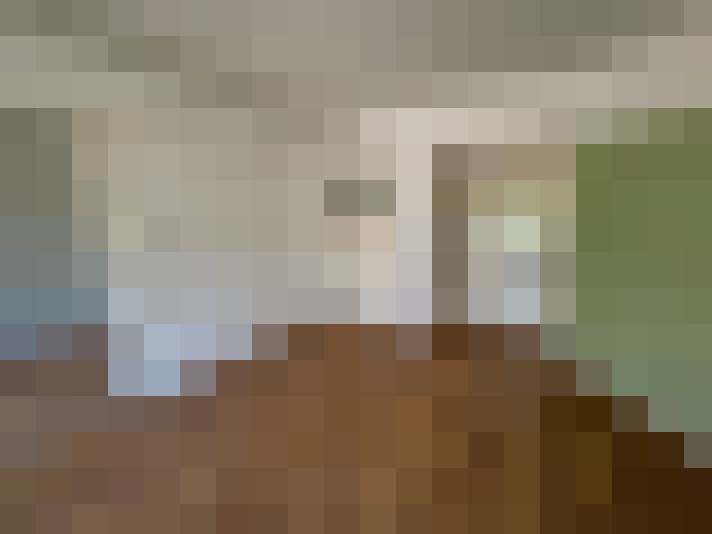  / #6