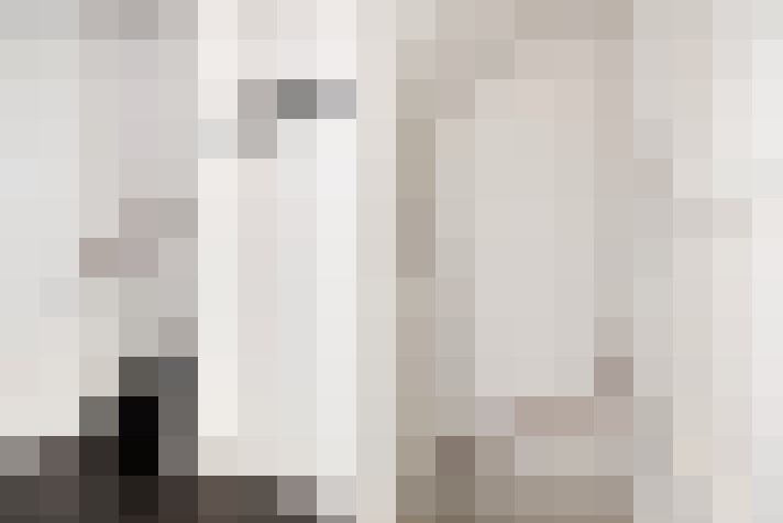  / #22