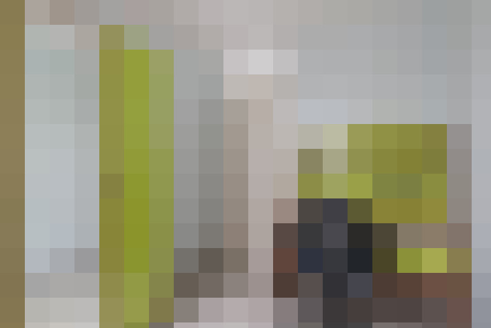 / #15