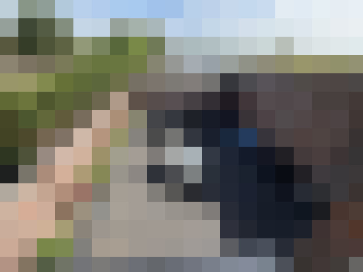  / #12