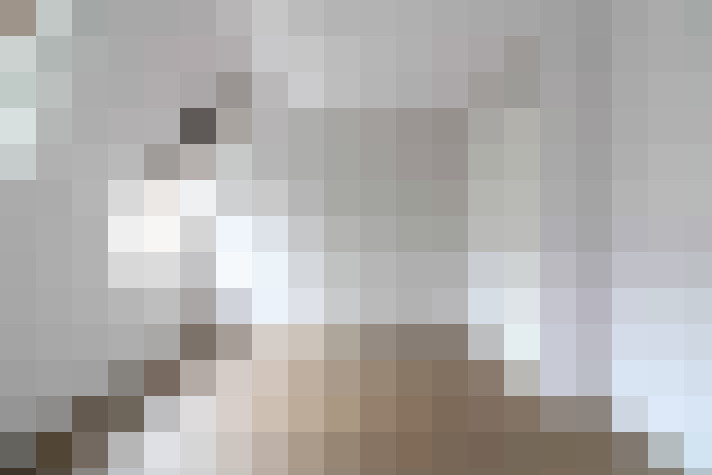  / #14